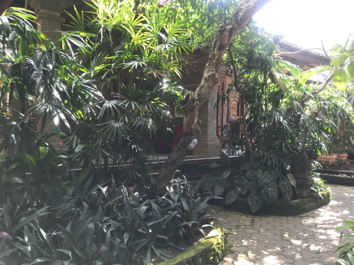 Nirvana Pension Ubud  Luaran gambar